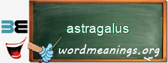 WordMeaning blackboard for astragalus